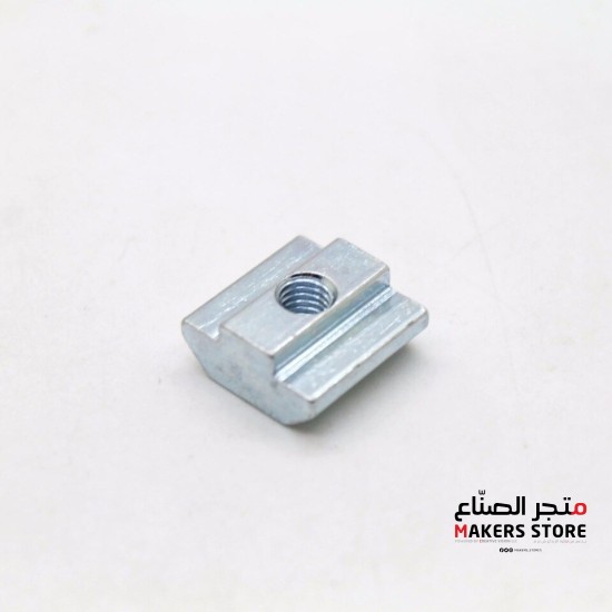 European Standard Slide T Nut-M5 for 20*20mm