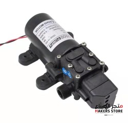 12V 70W Intelligent High Pressure Diaphragm Pump (Two Side Double Straight Pipe,Pressure Switch Type)