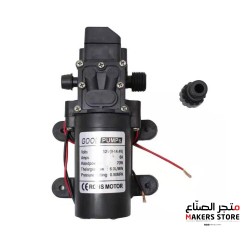 12V 70W Intelligent High Pressure Diaphragm Pump (Two Side Double Straight Pipe,Pressure Switch Type)