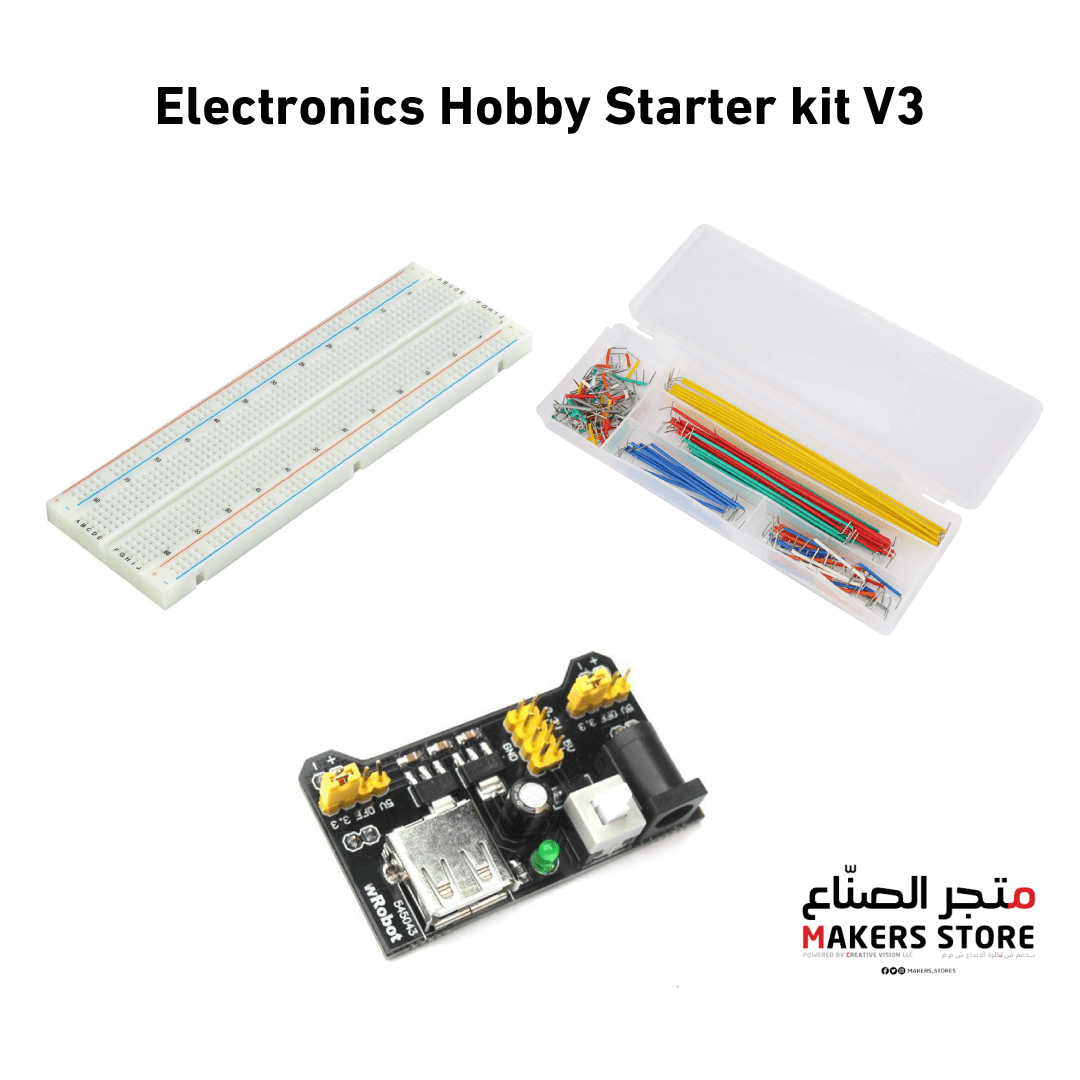 Hobbyist deals electronics store