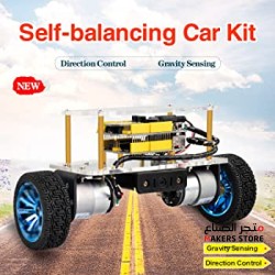 Self Balance Robot Car kit