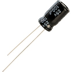 100uF 25V Electrolytic capacitor