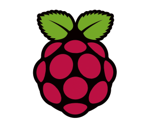 Raspberry  Pi 
