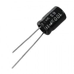 100uF 16V Electrolytic capacitor